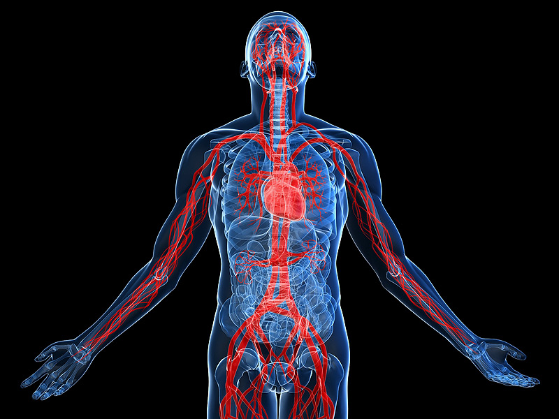 Access Body Process Class